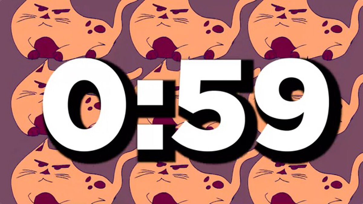 INTENSE 60 SEC CAT COUNTDOWN image number null